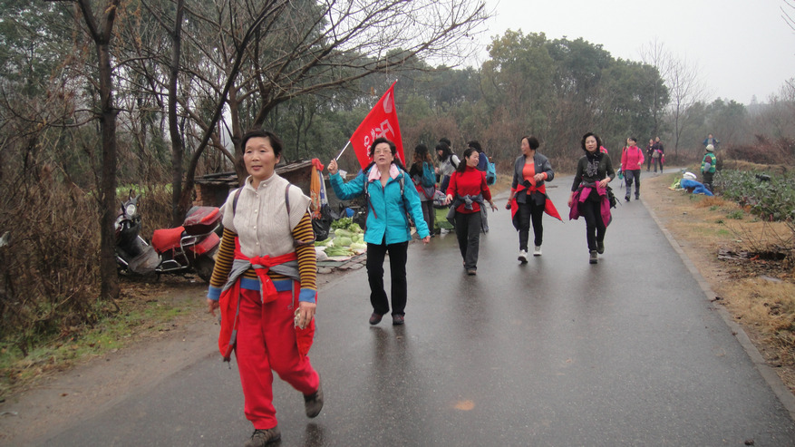 dsc08950.jpg