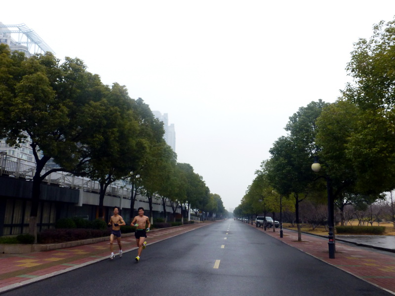 p1170070.jpg