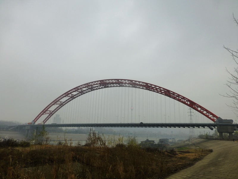 p1170125.jpg
