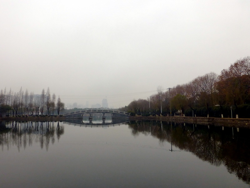 p1170199.jpg