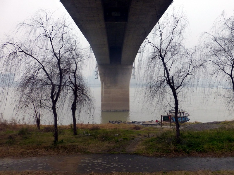 p1170185.jpg
