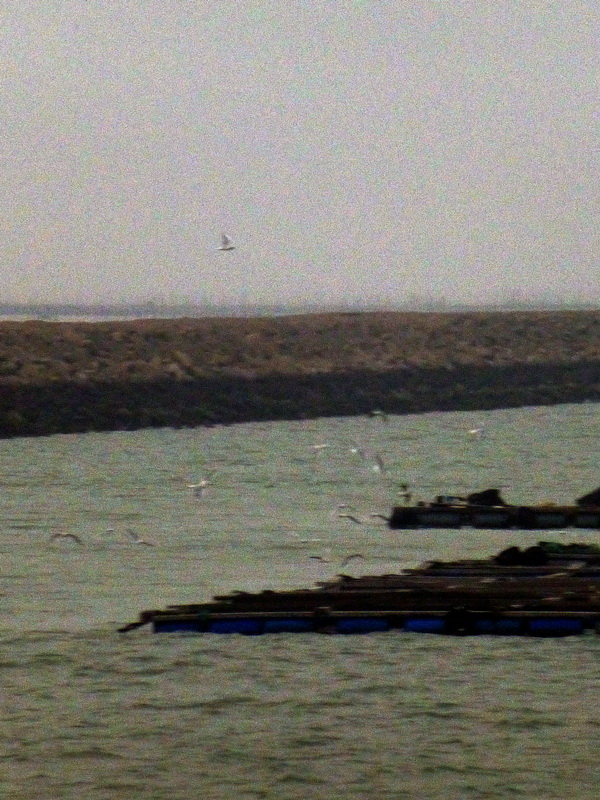 p1160266.jpg