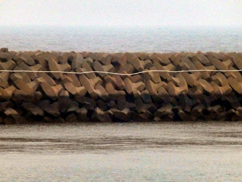 p1160277.jpg