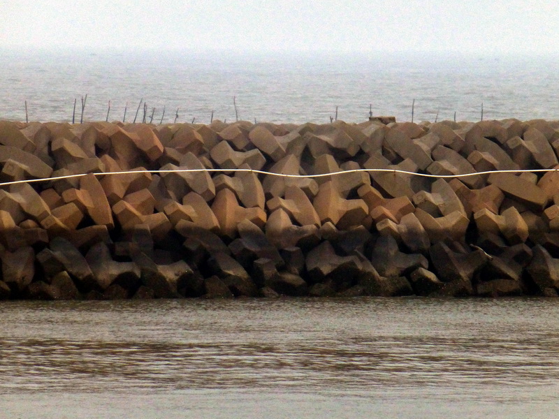 p1160278.jpg