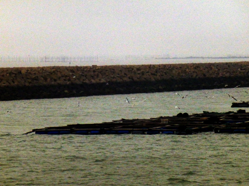 p1160267.jpg