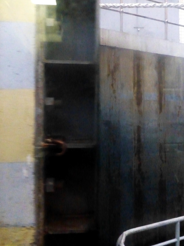p1160293.jpg