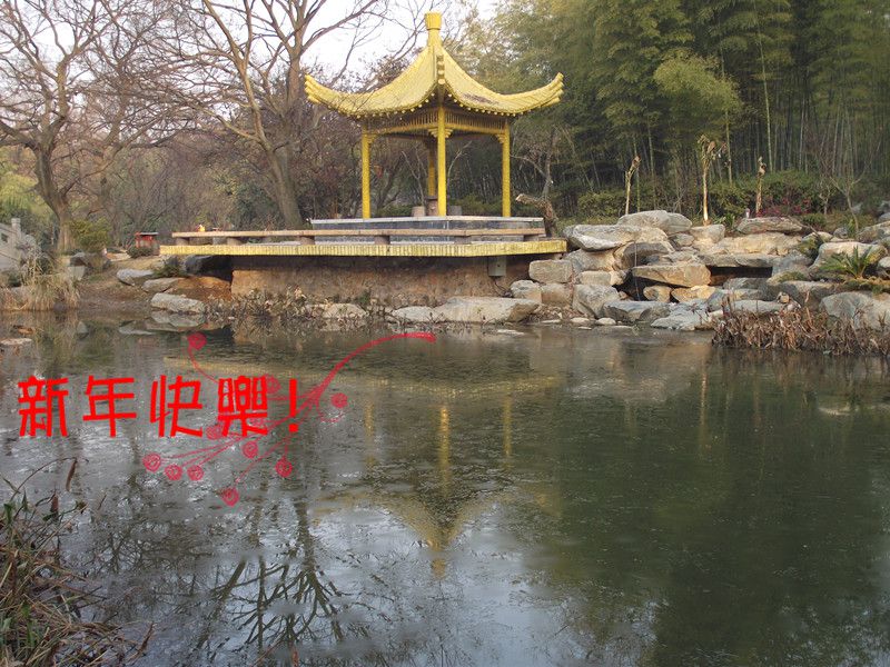 dscf0012_.jpg