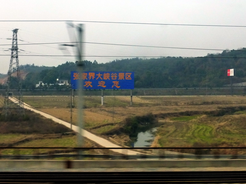 p1160339.jpg