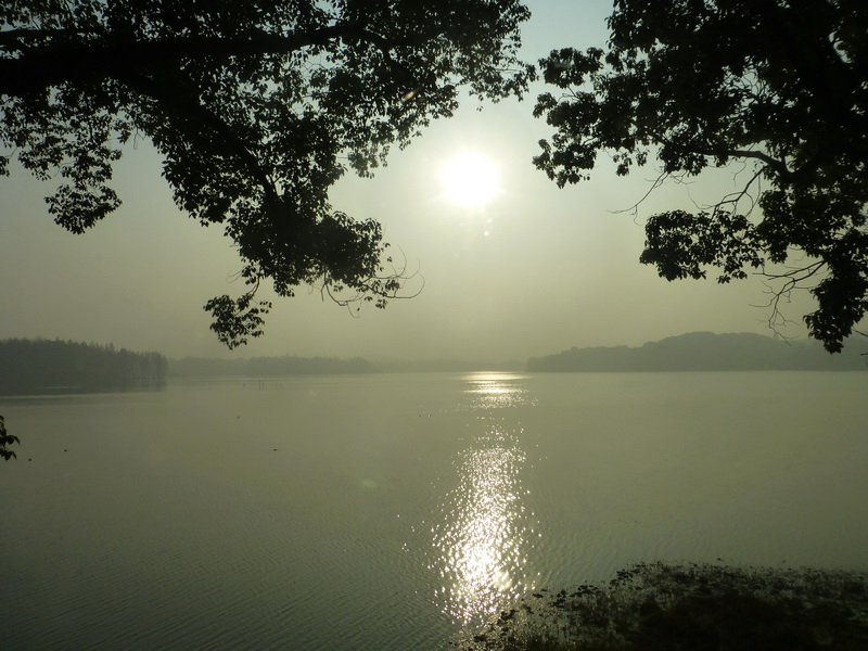 p1170214.jpg