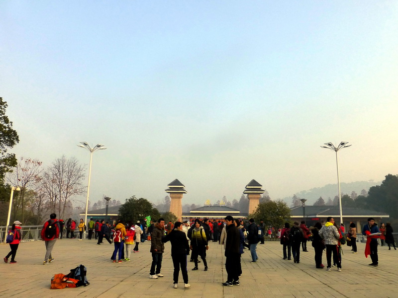p1170242.jpg