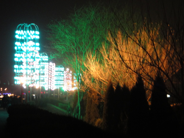 dsc02346.jpg