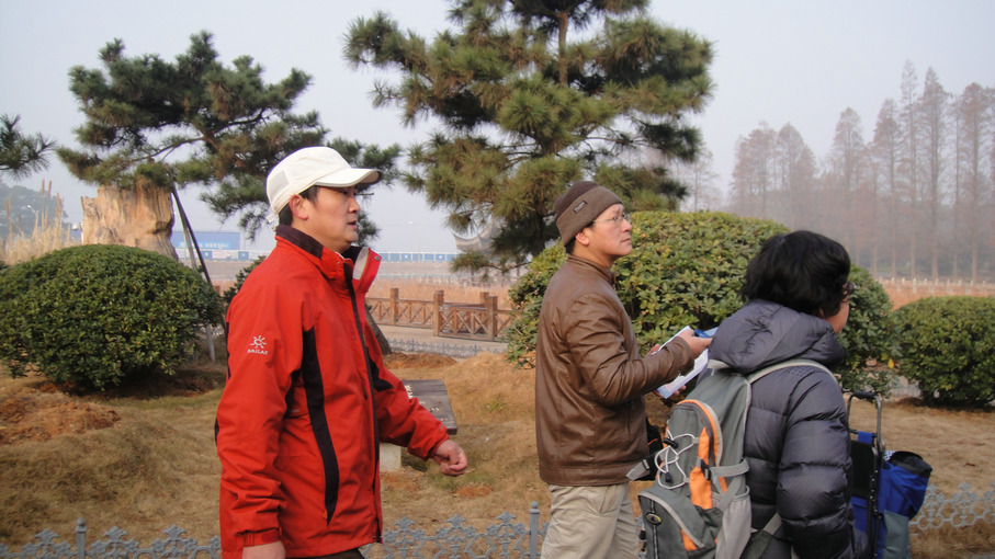 dsc09246.jpg