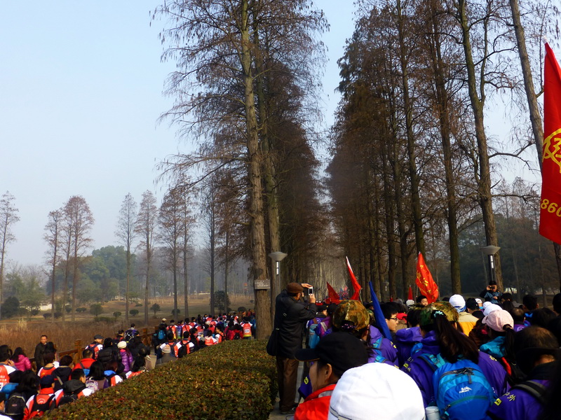p1170306.jpg