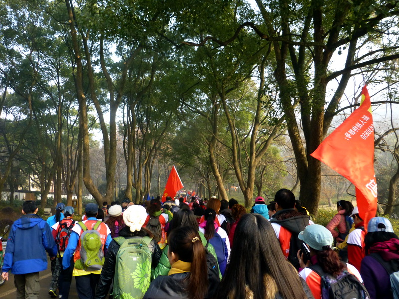 p1170316.jpg