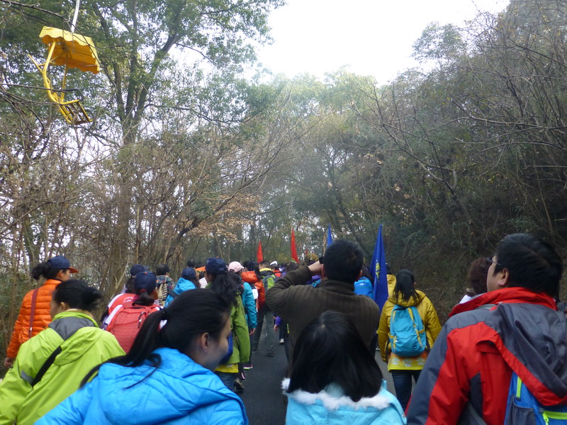 p1170323.jpg