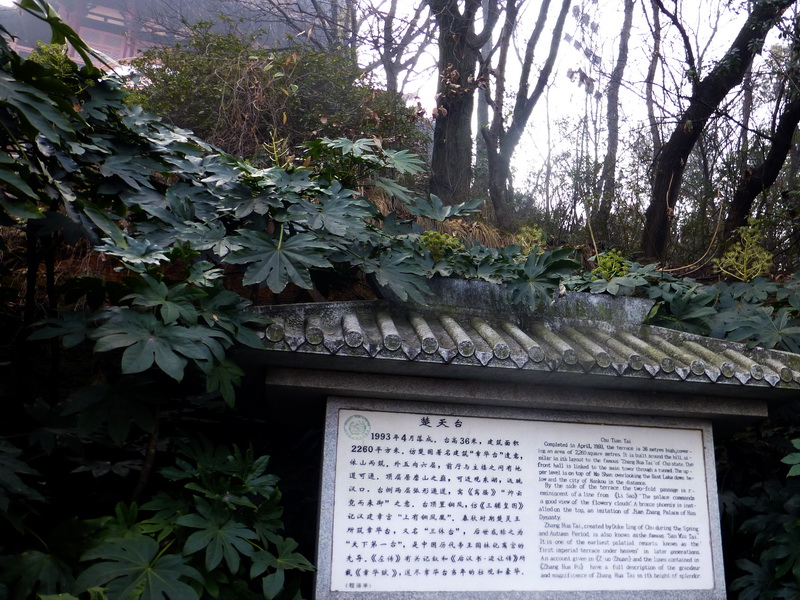 p1170332.jpg