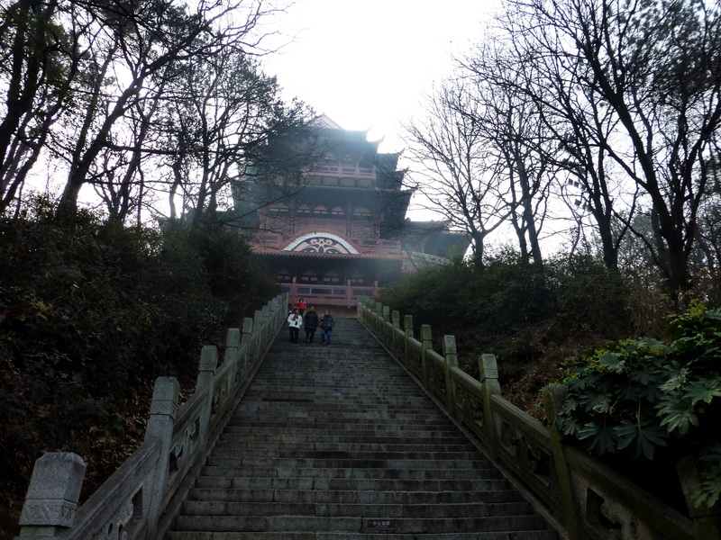 p1170333.jpg