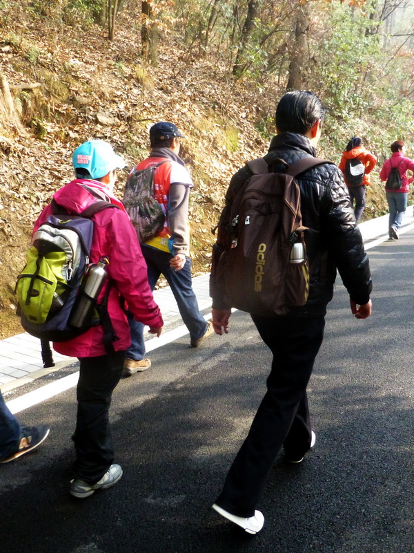 p1170345.jpg