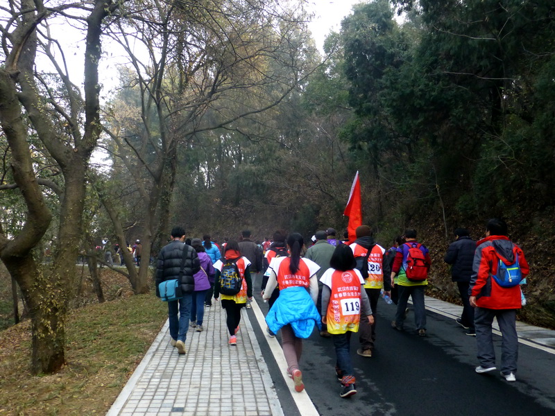 p1170348.jpg