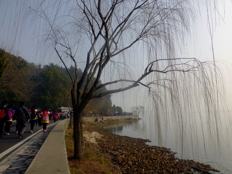 p1170353.jpg