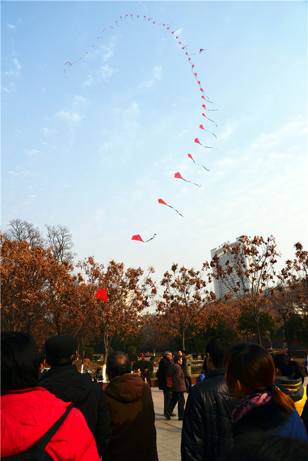dsc_2150_.jpg