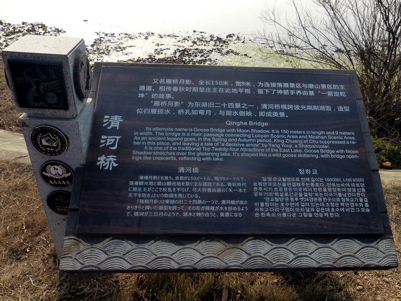 p1170374.jpg