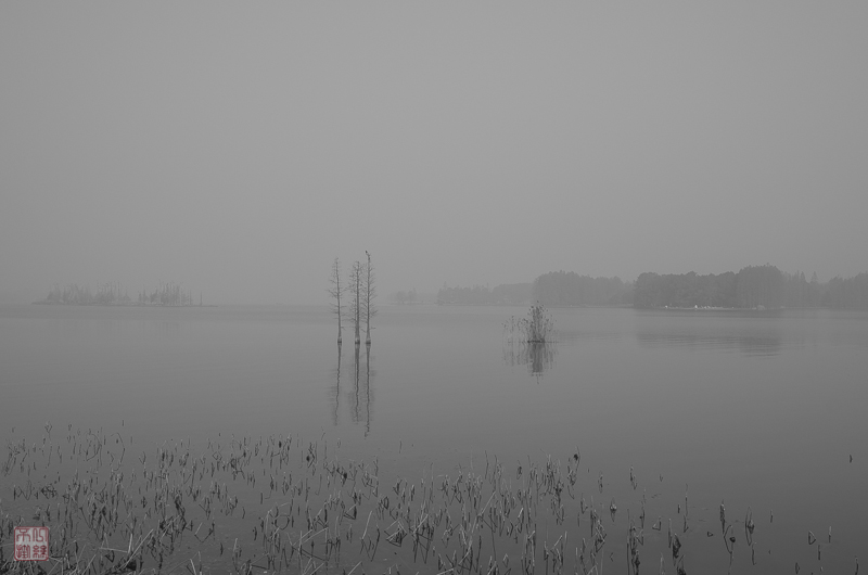 l1003552-2.jpg