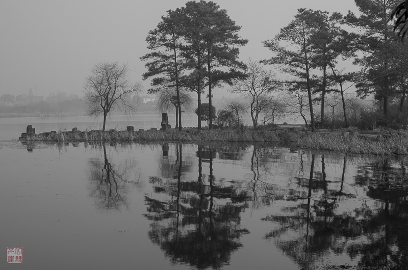 l1003553-2.jpg