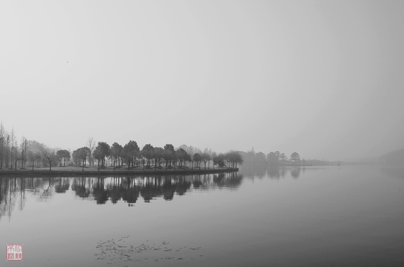 l1003555-2.jpg
