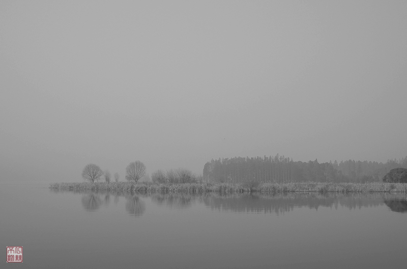l1003556-2.jpg