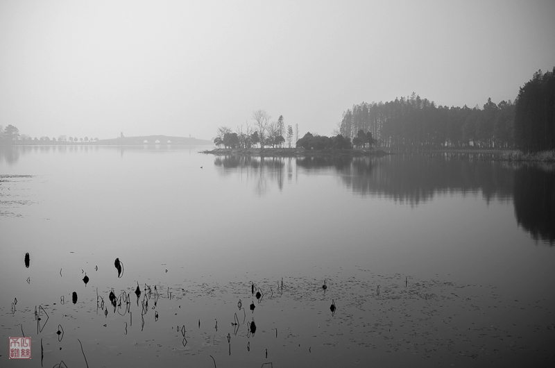 l1003559-2.jpg