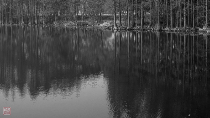l1003560-2.jpg