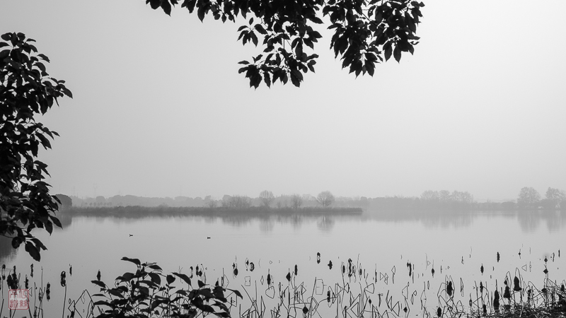 l1003561-2.jpg