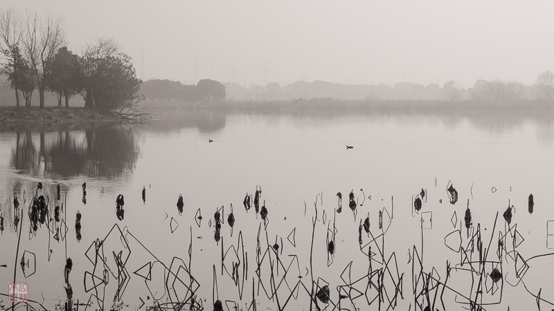 l1003562-2.jpg