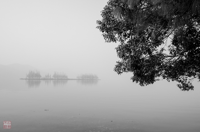 l1003565-2.jpg