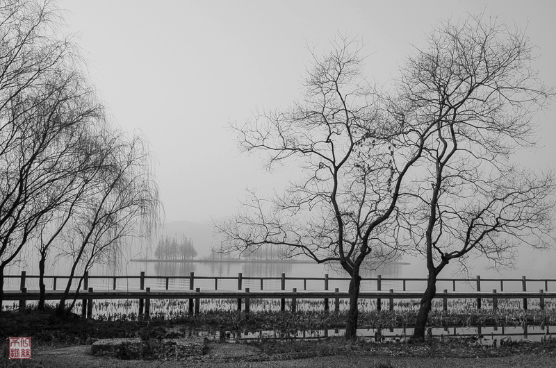 l1003566-2.jpg