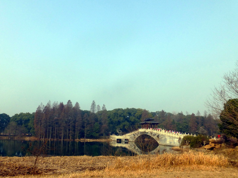 p1170390.jpg