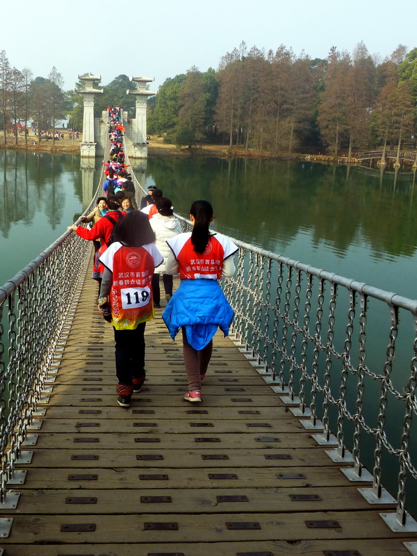 p1170415.jpg