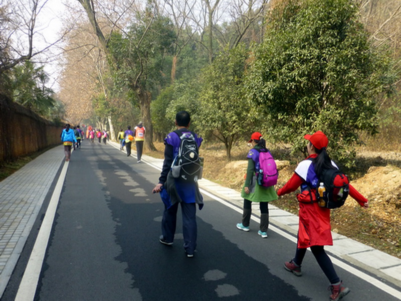 p1170471.jpg