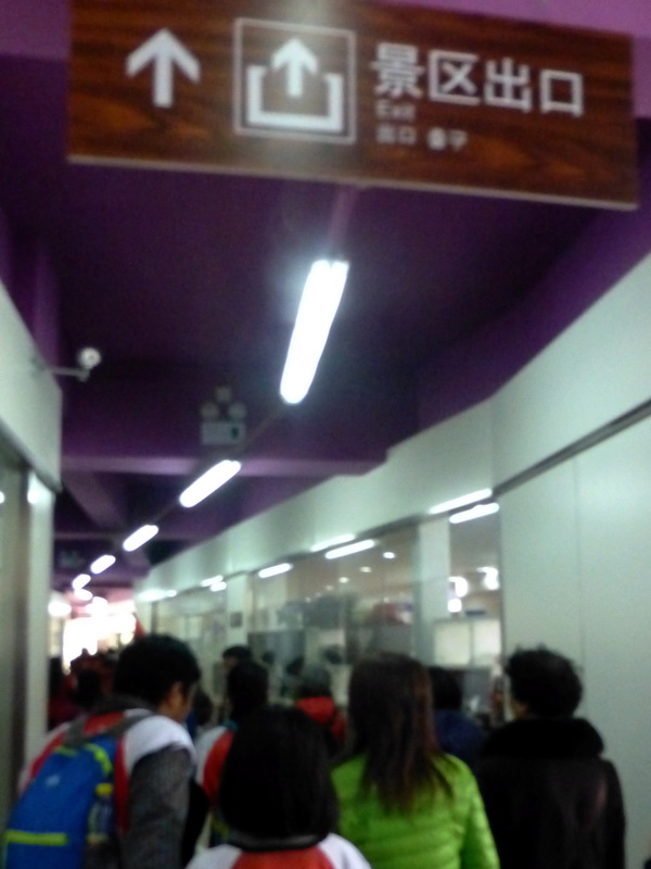 p1170509.jpg