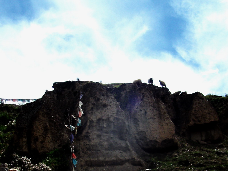 dscf0774.jpg