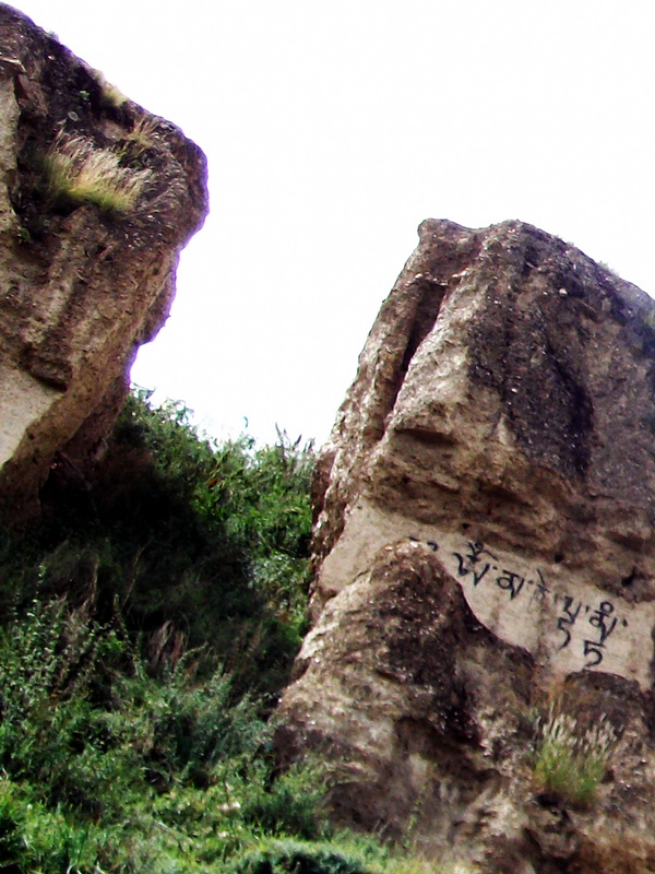 dscf0779.jpg