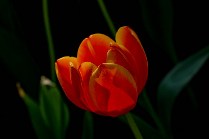 img_3637_СС.jpg