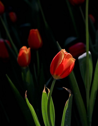 img_3647_СС.jpg