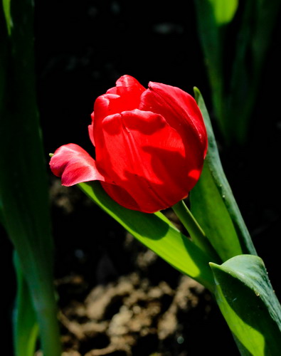 img_3657_СС.jpg