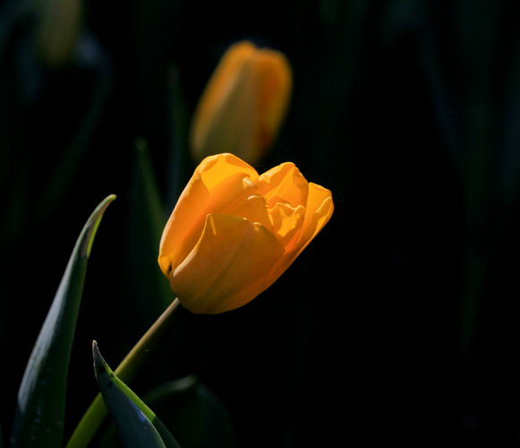 img_3662_СС.jpg