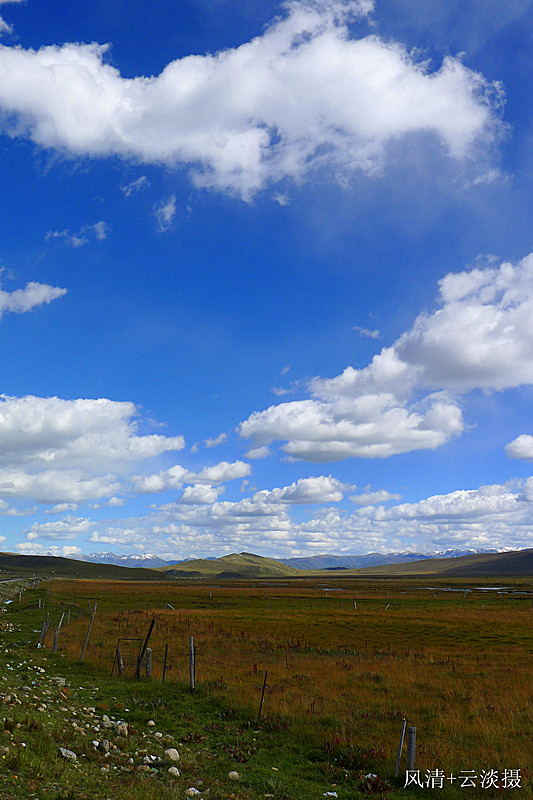 p1030312.jpg