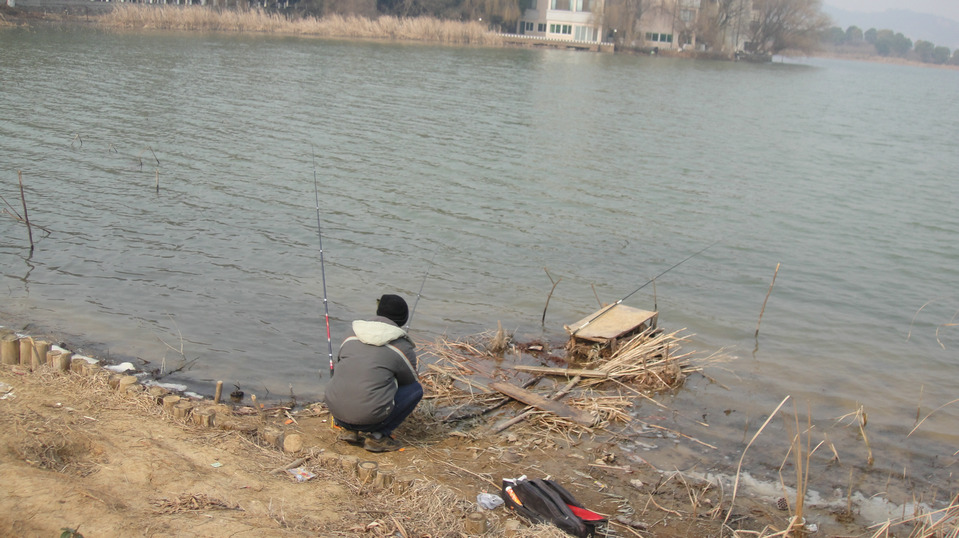 dsc09595.jpg