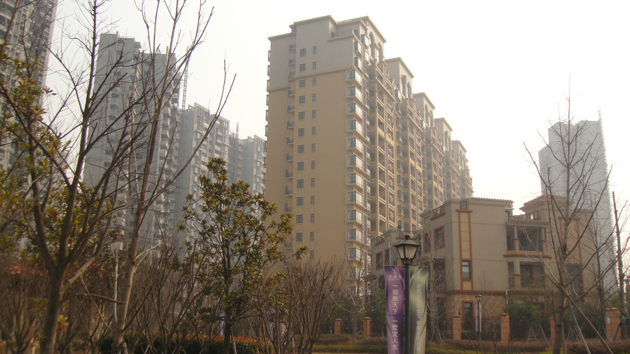 dsc09555.jpg