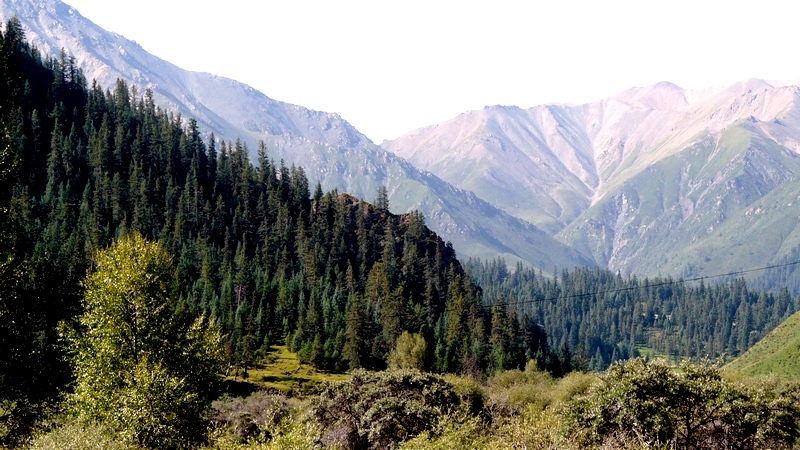 194.jpg